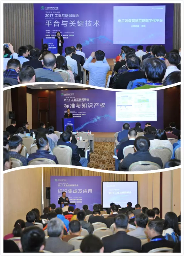 0224_113204_749.jpg 5.jpg