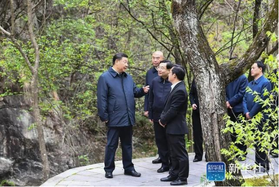 0515_155858_700.png image.png